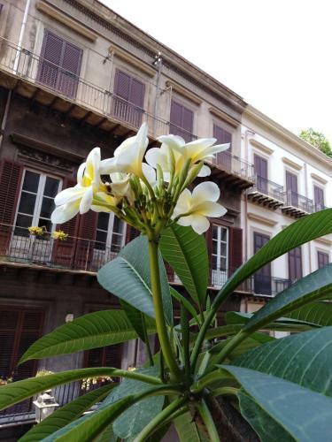 B&B Santa Caterina