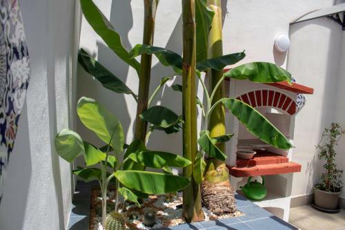 Apartamento Le Torri Dell'acqua