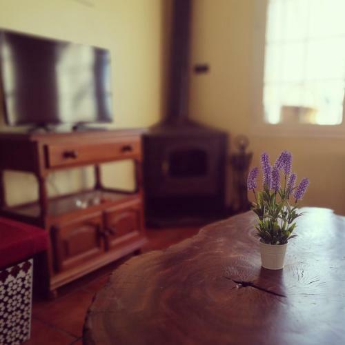 Hotel Villa Ignacia
