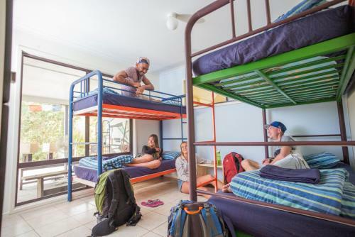 Albergue Nimbin Rox Backpackers Resort Yha