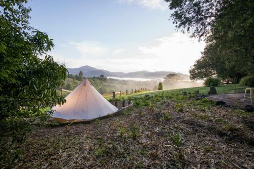 Albergue Nimbin Rox Backpackers Resort Yha
