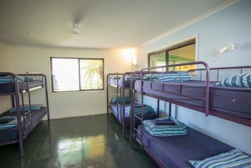 Albergue Nimbin Rox Backpackers Resort Yha