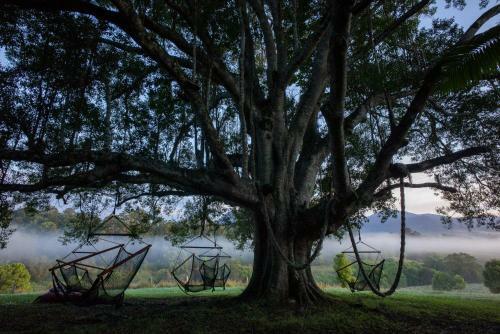Albergue Nimbin Rox Backpackers Resort Yha