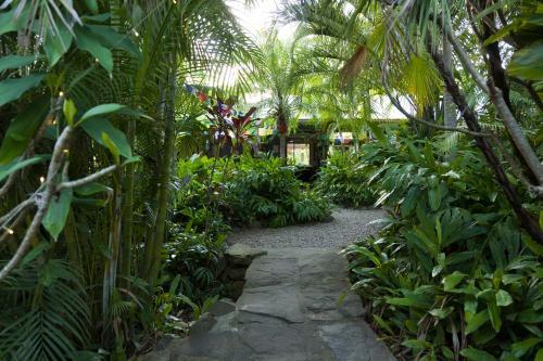 Albergue Nimbin Rox Backpackers Resort Yha