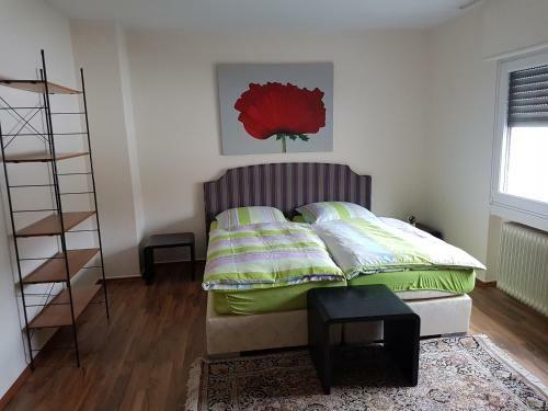 Apartamento Modern-comfort-inn 1