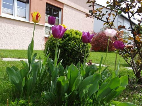 Apartamento Domizil Am Park