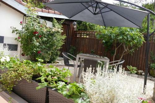 Apartamento Domizil Am Park