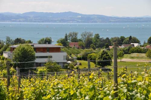 Apartamento Ferienwohnung Weinbergblick