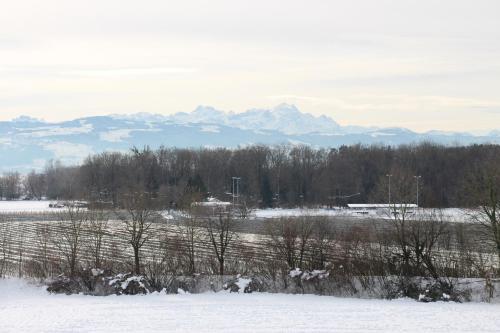 Apartamento Ferienwohnung Weitblick