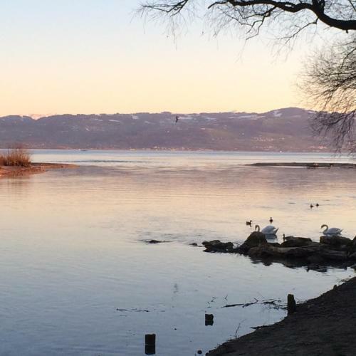 Apartamento Ferienwohnung Am Bodensee