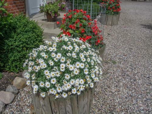 Apartamento Landurlaub Regenholz