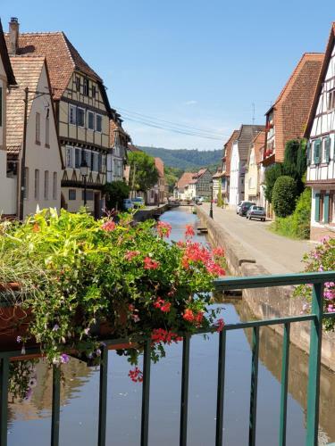 Apartamento Haus K�lsch