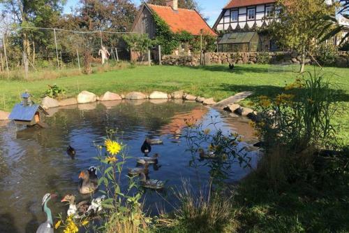 Apartamento Hof Rabenstein Ostsee Bei K�hlungsborn
