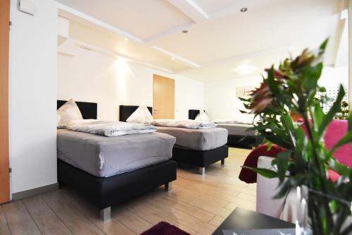 Apartments K�ln Rath Mit Garten Und Pool