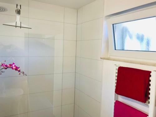 Messe Apartment Am Rhein