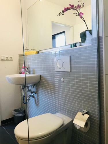 Messe Apartment Am Rhein