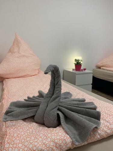 Lovely Share Apartment Aachener Weiher