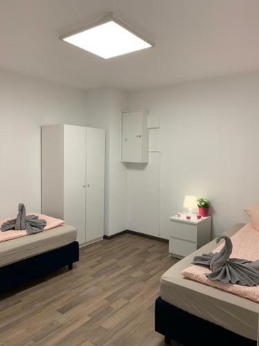 Lovely Share Apartment Aachener Weiher