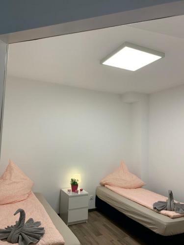 Lovely Share Apartment Aachener Weiher