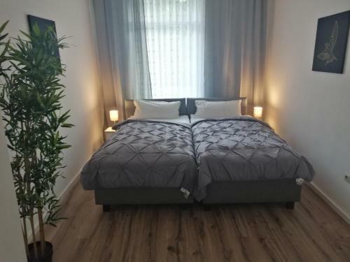 Apartamento K�lsche Wohnung 2c