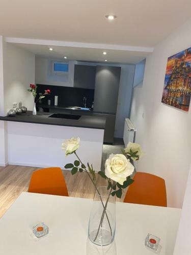 Apartamento Dreamy Luxury Basement In Cologne