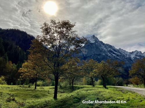 Apartamento Ferienwohnungen Am Kranzbach Fewo1
