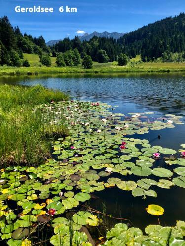 Apartamento Ferienwohnungen Am Kranzbach Fewo1