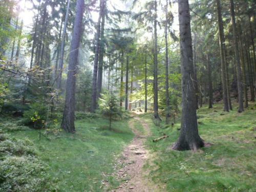 Apartamento Ferienwohnung Zittauer Gebirge