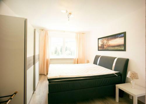 Oberwiesenthal Apartments