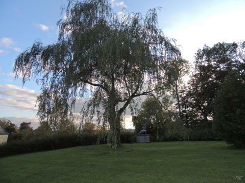 Apartamento Schlo� Wittgenstein