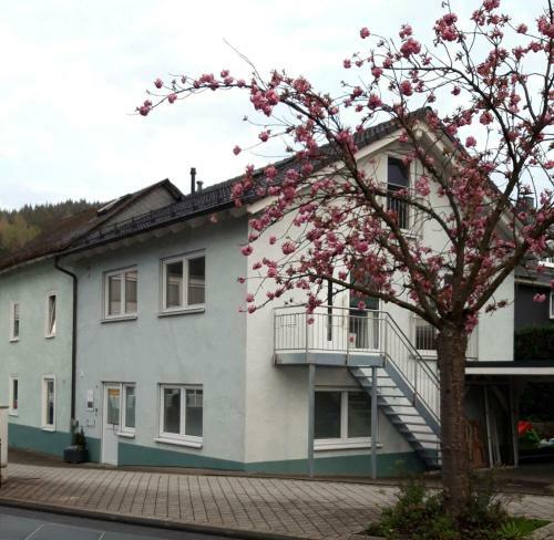 Apartamento Ferienwohnung Bad Laasphe