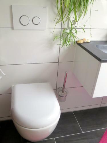 Apartamento Ferienwohnung/monteurwohnung Meiser