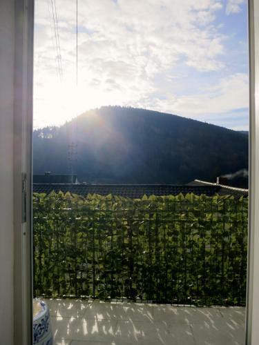 Apartamento Ferienwohnung/monteurwohnung Meiser