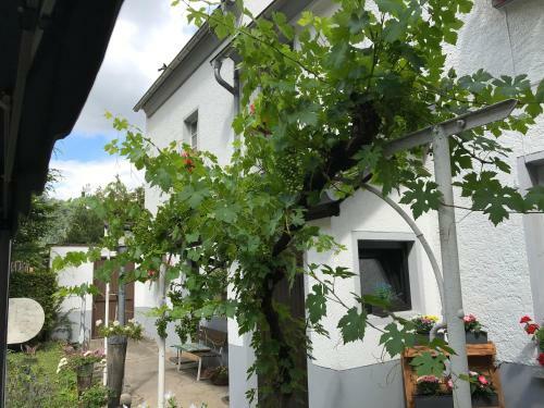 Apartamento Ferienwohnung Lahnm�ndung