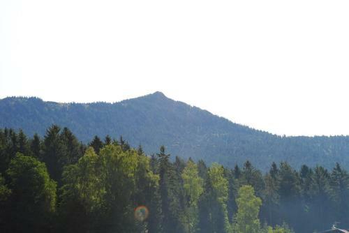 Hostal G�stehaus Kuchler