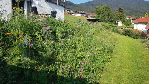 Apartamento Wohnung Wiesengr�n - Osserblick