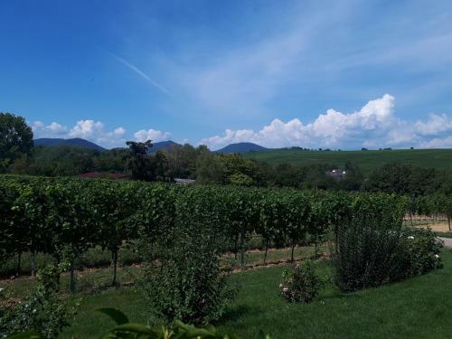 Apartamento Ferienwohnung Natur Pur