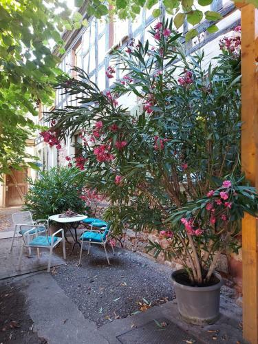 Apartamento Ferienwohnung Natur Pur