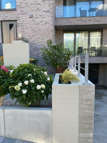 Apartamento Meeresrauschen