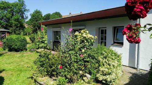 Hus Kalli
