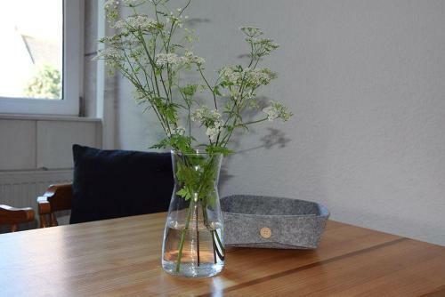 Apartamento Moewe