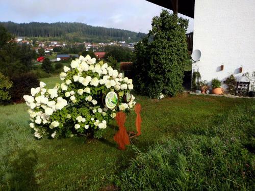 Apartamento Ferienwohnung Kraus