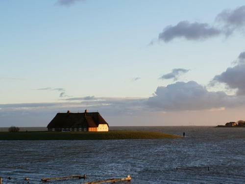 Apartamento Kapit�nshaus Meerblick