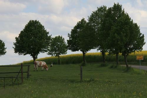 Ferienh�user Seeblick