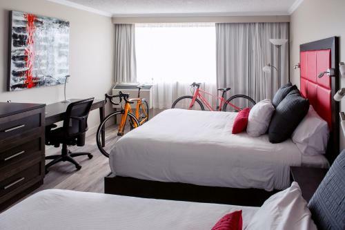 Hotel Universel Alma - Standard
