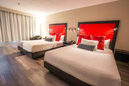 Hotel Universel Alma - Standard
