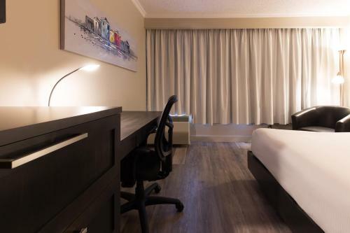 Hotel Universel Alma - Standard