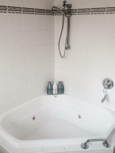 The Bearded Dragon Boutique Hotel