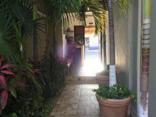 Apartamentos Posada Malix Pek
