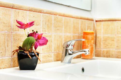 Feelathome Center Apartments